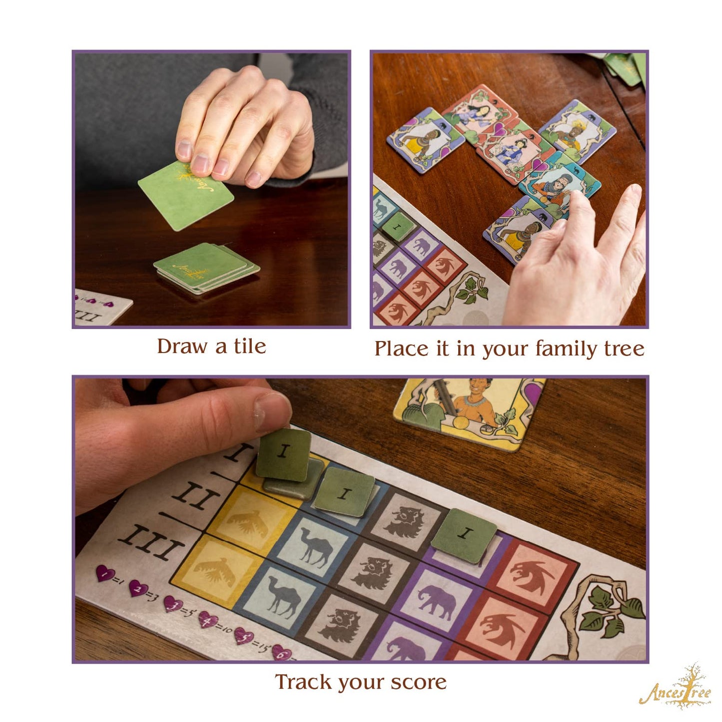 Ancestree Family Board Game for Game Night - Create the Best Family Tree - Easy to Learn Strategy Board Game for Kids and Adults Fun Tabletop Game