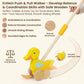 Wooden Push Toys for Toddlers 1-3, Baby Pull Along Stick Walking Duck