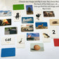Flash of Brilliance First Word Game One-Syllable Words for Early Readers