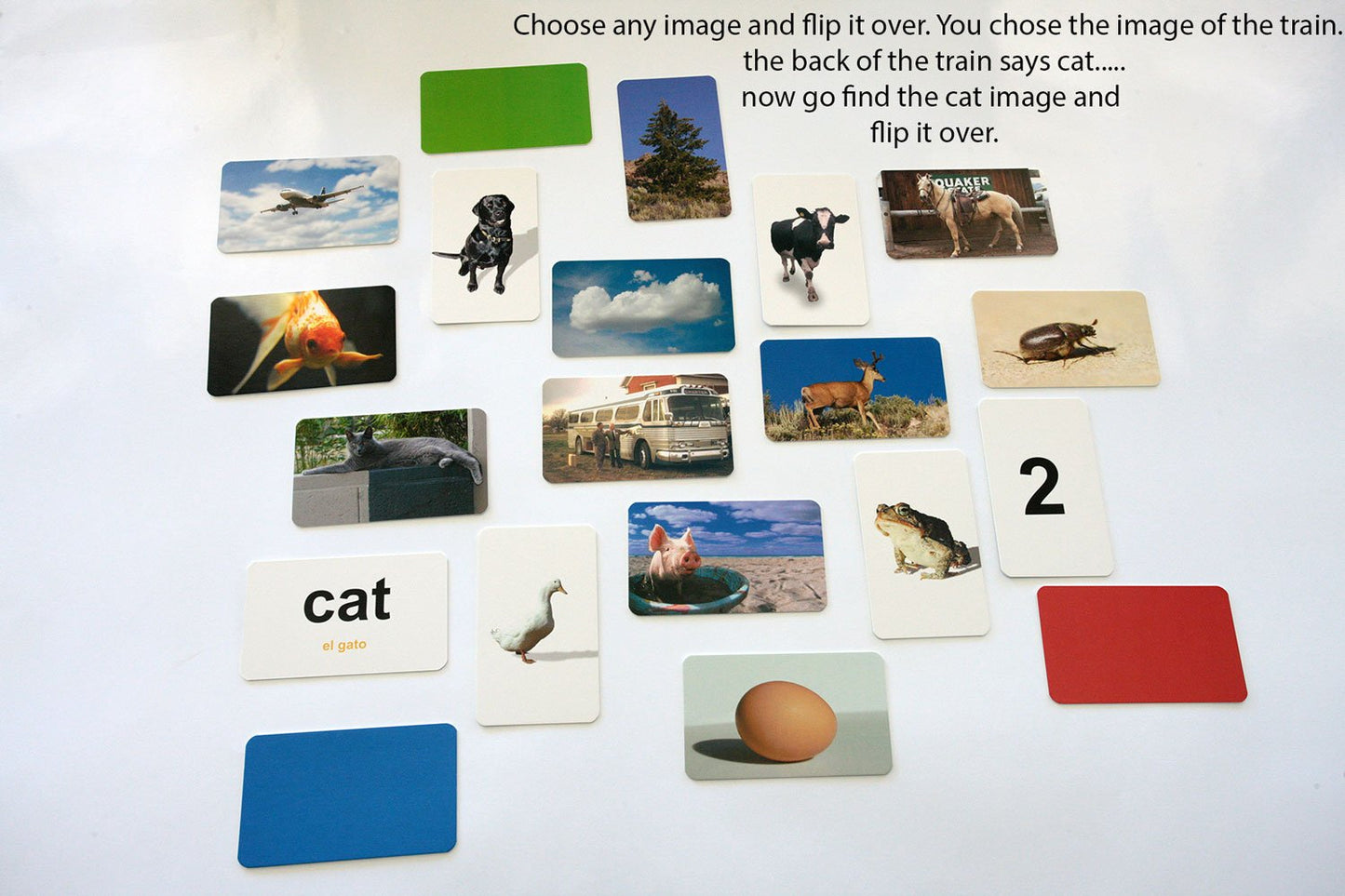 Flash of Brilliance First Word Game One-Syllable Words for Early Readers