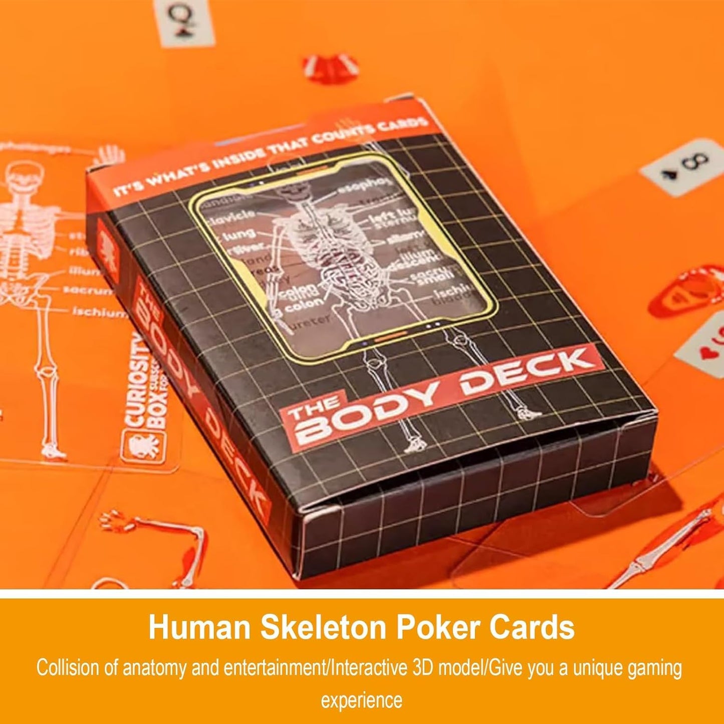 AKLOZYX The Body Deck Transparent Anatomy Playing Cards, 3D Skeleton Design, Educational Card Game, 54 Cards (1 Pack)
