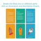 CATHOLIC FAMILY CRATE First Mass Guide Cards - 28 UV Coating Catholic Missal Book Teachings - 2.5" x 4" Religious Cards with 2? Metal Ring