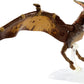 Jurassic World Toys Amber Collection Pteranodon 6-in Dinosaur Action Figure, Movie-Authentic Detail, Movable Joints & Figure Display Stand,