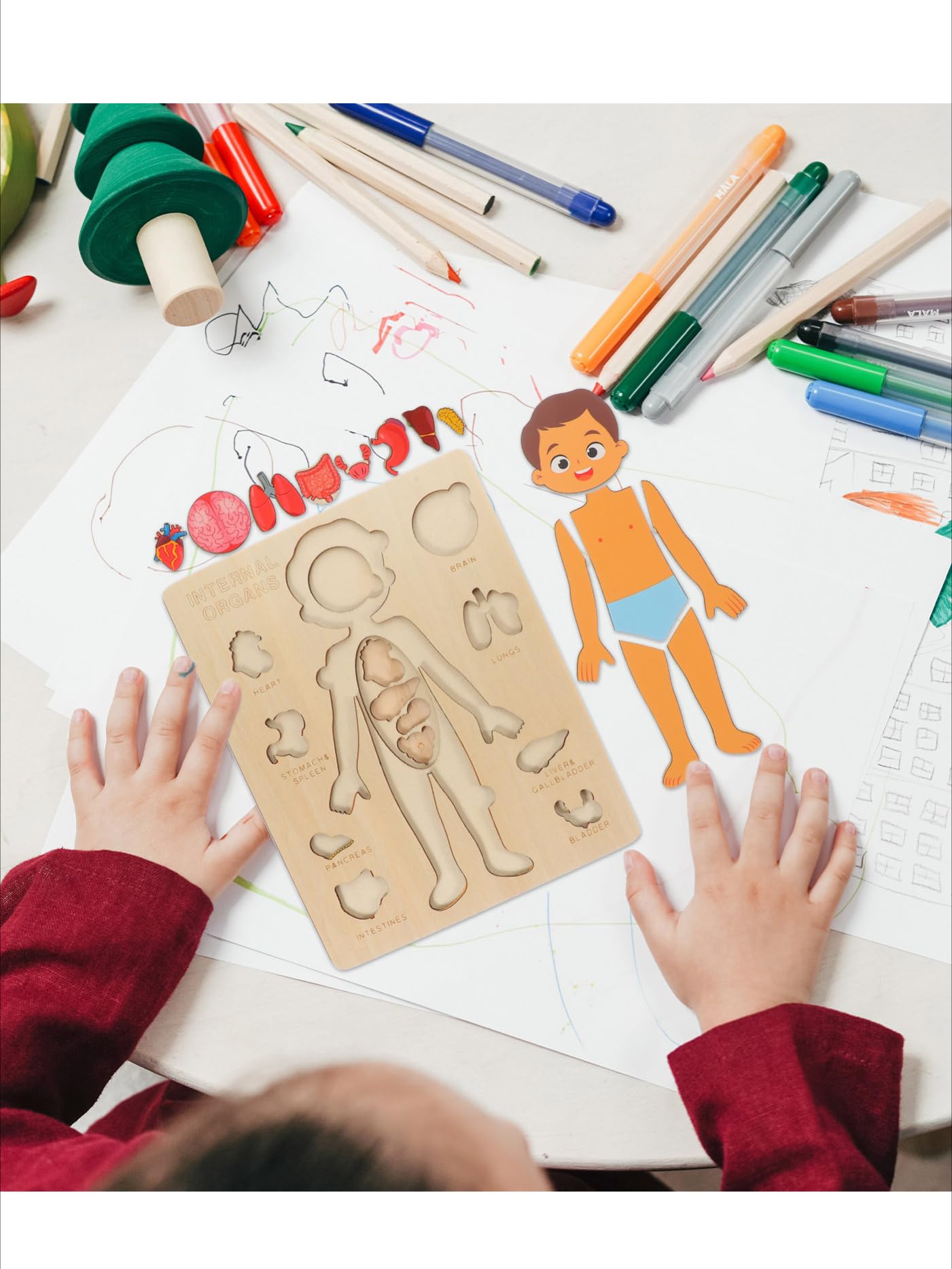 Montessori Jigsaw Puzzle of Human Structure Kids Human Learning Toy Anatomy Organ Model Anatomy Toy Children Human Organ Education Toys Human Organ