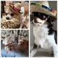 BTYMS 8 Pieces Mini Sombrero Party Hats Fiesta Party Decorations Party Supplies Sombrero Costume Hats for Table, Dolls, Dogs- 5.9 Inch