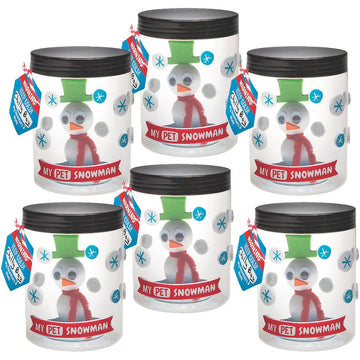 Fun Express PET Snowman in A JAR CK-6 - Craft Kits - 6 Pieces