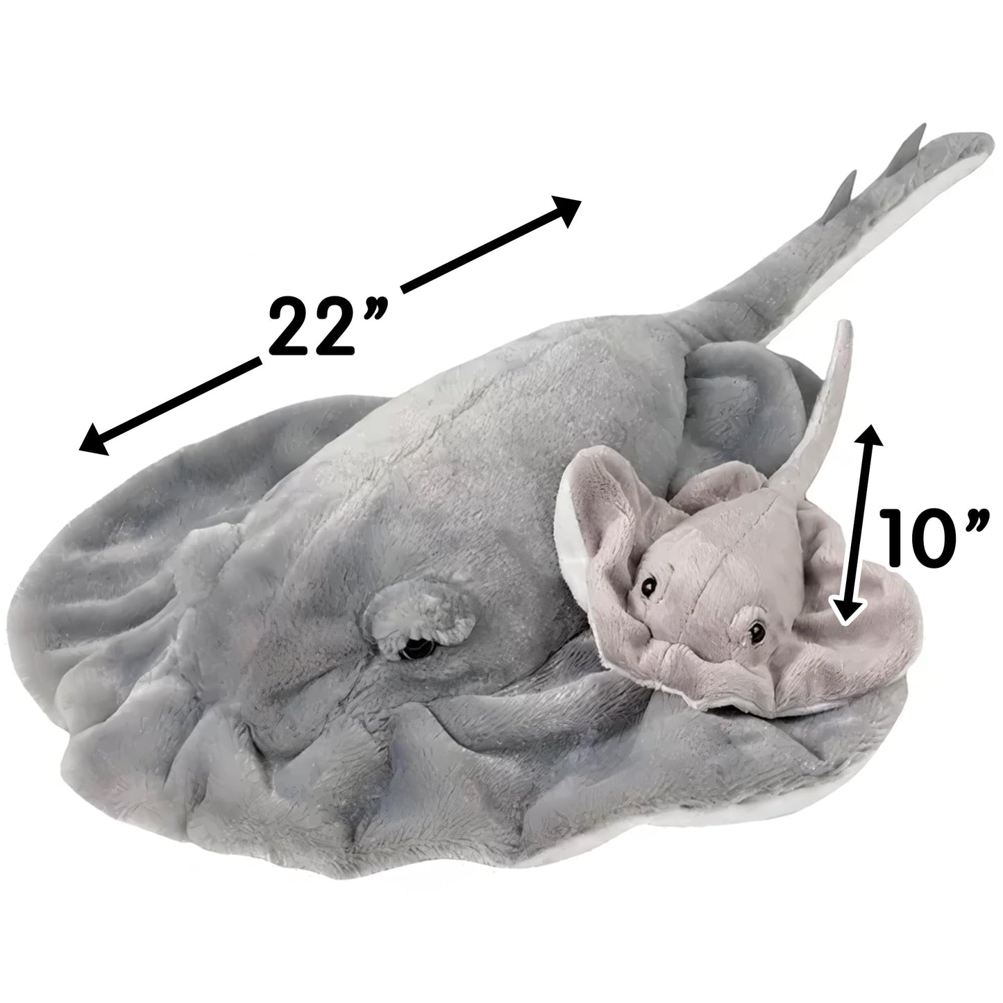 Rhode Island Novelty Charming and Ray Plush, Soft Stuffed Animal Toy for Kids, 22 Inch