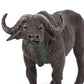 Safari Ltd. Cape Buffalo Figurine - Detailed 5" Plastic Model Figure - Fun Educational Play Toy for Boys, Girls & Kids Ages 3+