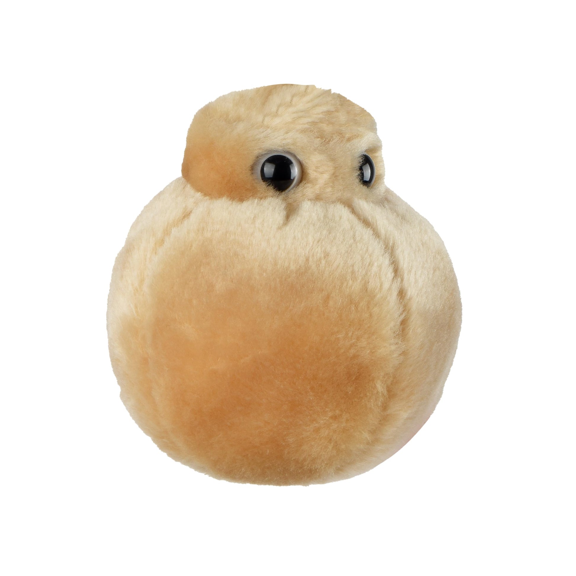 GIANTmicrobes Fat Cell Plush, Biology Gifts, Science Teacher Gifts, Nerdy Science Gifts, Biology Decor, Gifts for Nutritionist, Fitness Trainer Gifts
