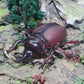 JOKFEICE Animal Figures Realistic Plastic Unicorn Beetle Animal Action Model Science Project, Learning Educational Toys, Birthday Gift, Cake Topper