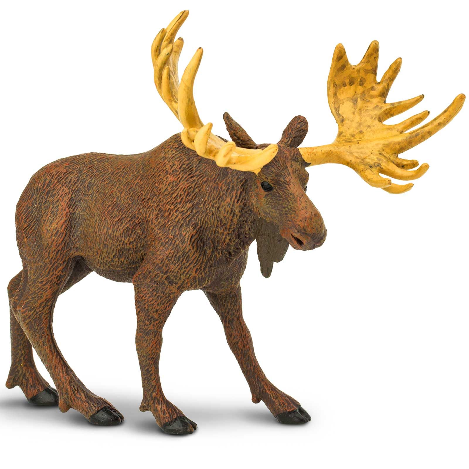 Safari Ltd. Moose Figurine - Realistic 5" Animal Figure - Educational Toy for Boys, Girls, and Kids Ages 1+