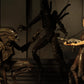 NECA Aliens - 7" Scale Action Figure - Series 14 Alien Resurrection Ripley 8