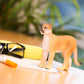 Safari Ltd. Florida Panther Figurine - Realistic 9" Model Figure - Fun Educational Wildlife Toy for Boys, Girls &Kids Ages 3+