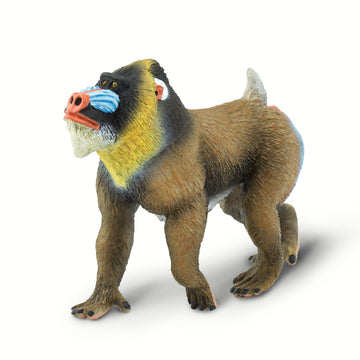 Safari Ltd. Mandrill - Realistic 3.75" Baboon Figure - Educational Toy for Boys, Girls, and Kids Ages 3+