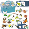 Life Cycle Learning Toys for Kids: Life Science Education Kits with Butterfly, Frog, Chicken, Mantis, Bee, Plants - 25 Pieces Animal Figurines