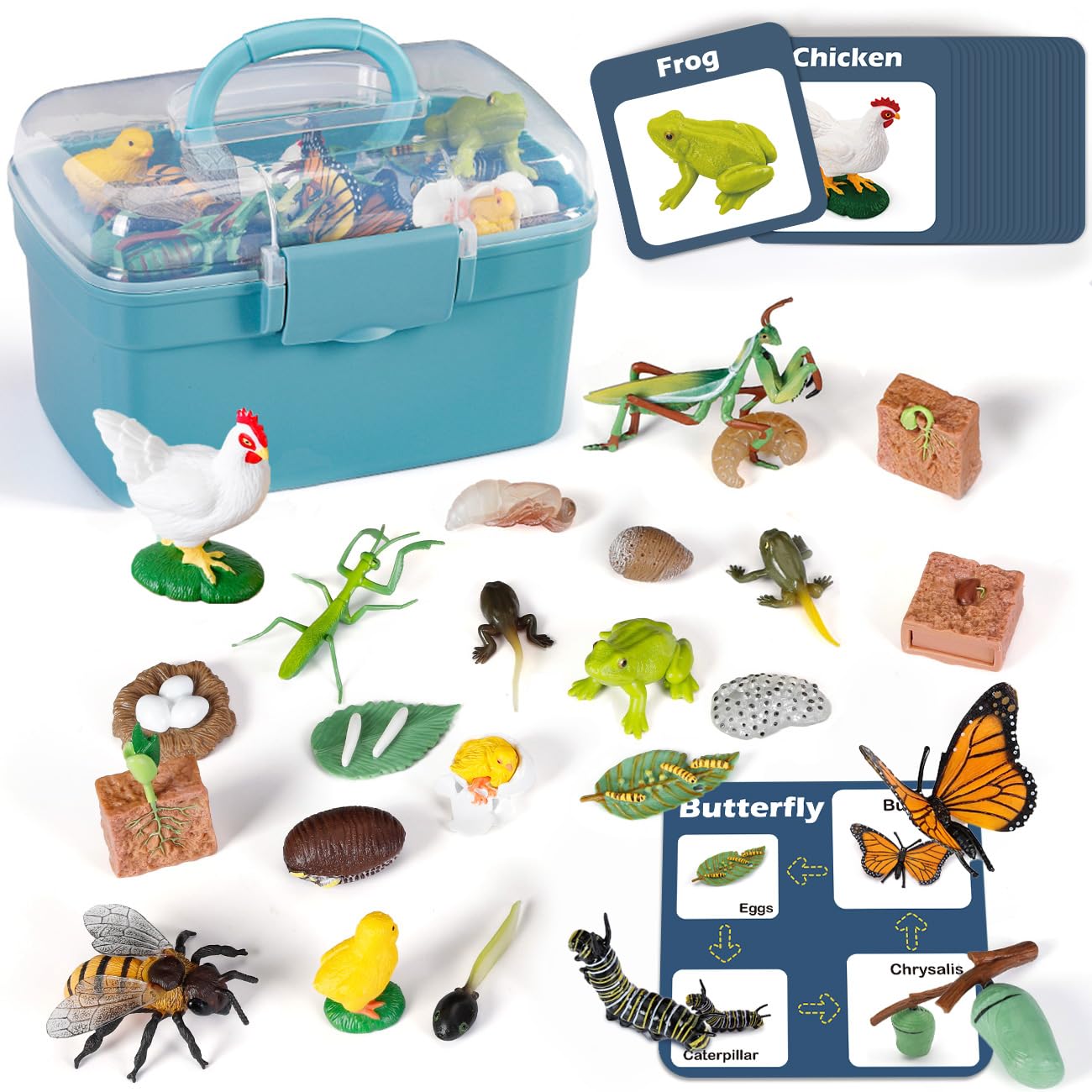 Life Cycle Learning Toys for Kids: Life Science Education Kits with Butterfly, Frog, Chicken, Mantis, Bee, Plants - 25 Pieces Animal Figurines