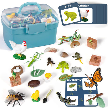 Life Cycle Learning Toys for Kids: Life Science Education Kits with Butterfly, Frog, Chicken, Mantis, Bee, Plants - 25 Pieces Animal Figurines