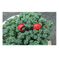 E-outstanding 100-Pack Wooden Ladybug Stickers 3D Micro Red Ladybird Flatback Self-Adhesive Stickers DIY Wedding Scrapbook Craft