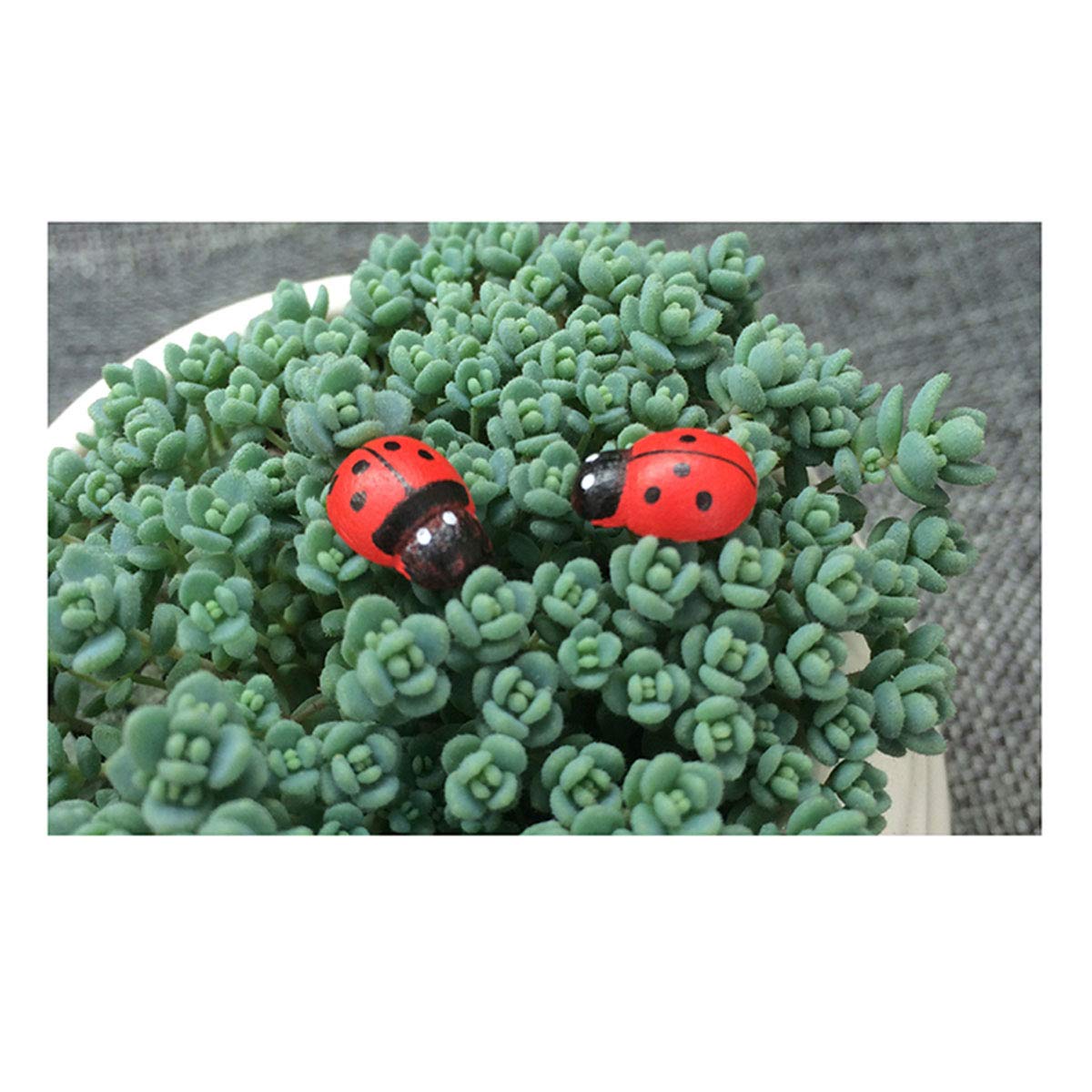 E-outstanding 100-Pack Wooden Ladybug Stickers 3D Micro Red Ladybird Flatback Self-Adhesive Stickers DIY Wedding Scrapbook Craft