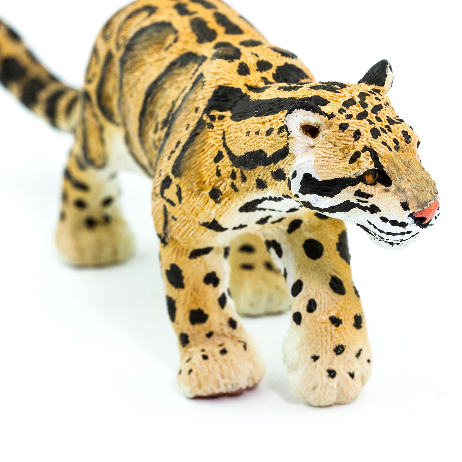 Safari Ltd. Clouded Leopard Figurine - Realistic 5" Big Cat Figure - Educational Toy for Boys, Girls, and Kids Ages 3+