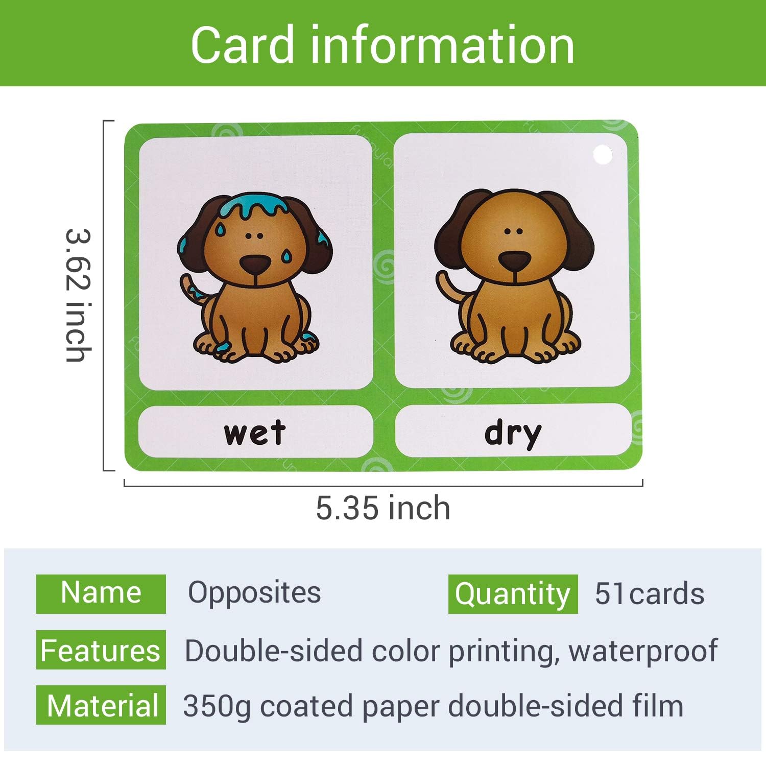 Richardy 20 Groups Synonyms/100 Groups Antonyms 2 Themes Flashcards Building Vocabulary Pocket Cards Educational Learning Toys Pre-Kindergarten