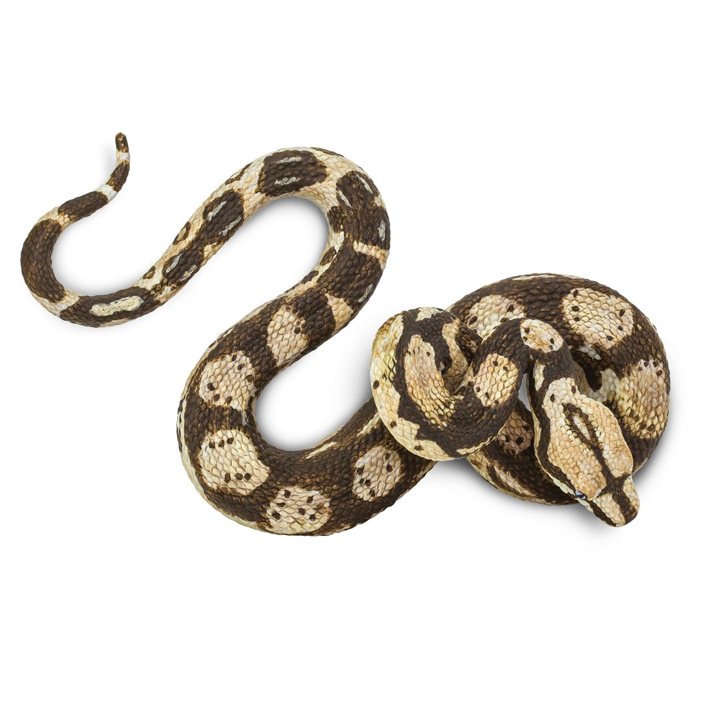 Safari Ltd. Boa Constrictor Figurine - Realistic 6" Snake Figure - Educational Toy for Boys, Girls, and Kids Ages 3+