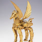 TAMASHII NATIONS Bandai Saint Cloth Legend EX Pegasus Seiya (New Bronze Cloth) - Masami Kurumada 40th Anniversary Edition Saint Seiya Action Figure