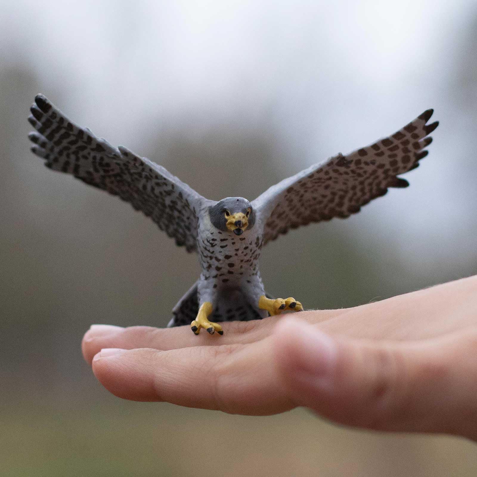 Safari Ltd. Peregrine Falcon Figurine - Detailed 3.75" Wingspan Plastic Model Figure - Fun Educational Bird Play Toy for Boys, Girls & Kids Ages 3+