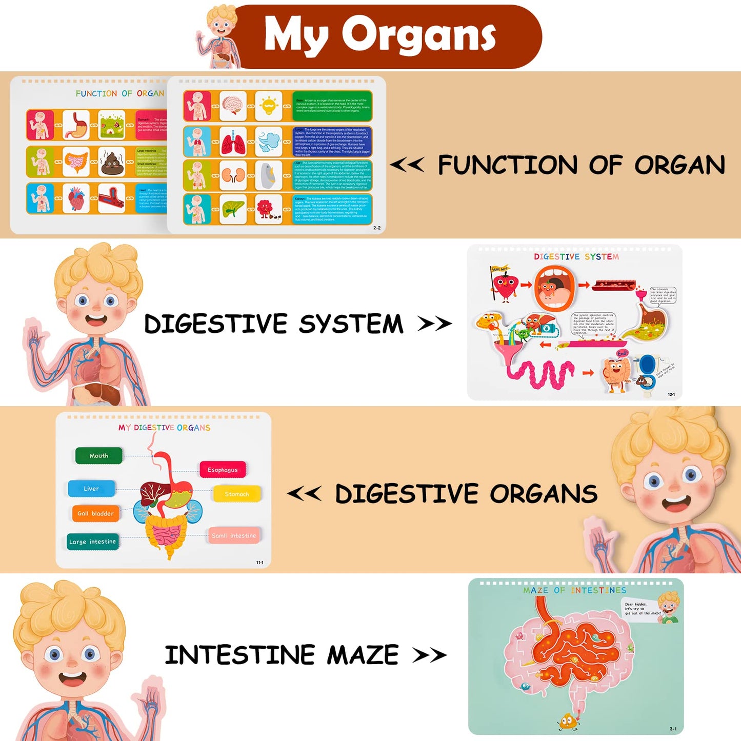 Freebear Montessori Busy Book for Kids, Human Body Anatomy Book for Toddlers, Preshool Kindergarten Learning Activities, Autism Sensory Toys, Travel