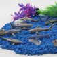 Safari Ltd. Sharks TOOB - 11 Hand-Painted Mini Figurines Including Great White, Whale Shark, Tiger Shark, Hammerhead, Mako, and More - Educational Toy