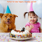 HOMNIVE Dog Figures for Kids, 12pcs Plastic Realistic Puppy Figurines, Small Dog Cake Topper, Learning Educational Toys for Christmas Birthday Gift