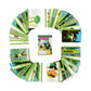 Coping Skills for Kids Cue Cards Movement Deck (CSKCCMVT)
