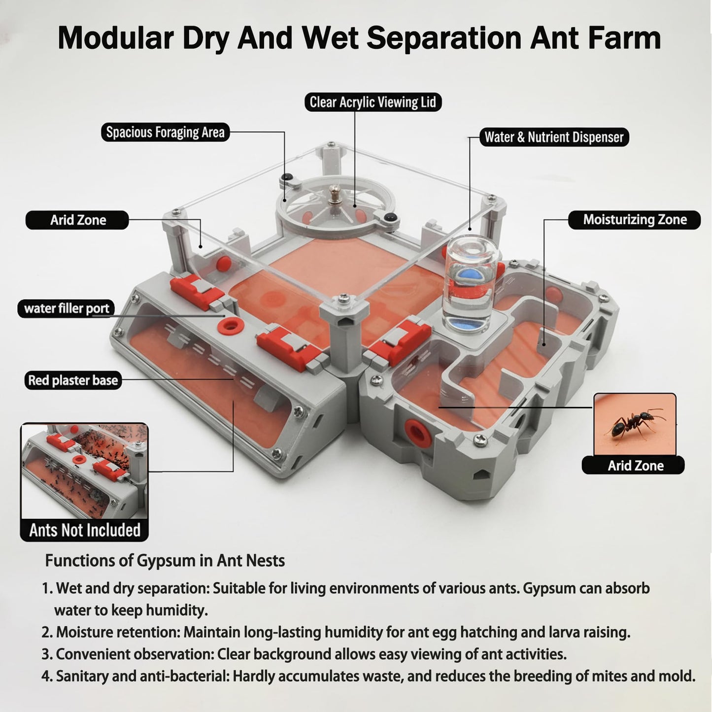 Antsir Ant Farm Nest Kit,DIY Science Terrarium with Acrylic Water Tower, Nurturing Room & Large Observation Area for Live Ants (Formicarium Grey)