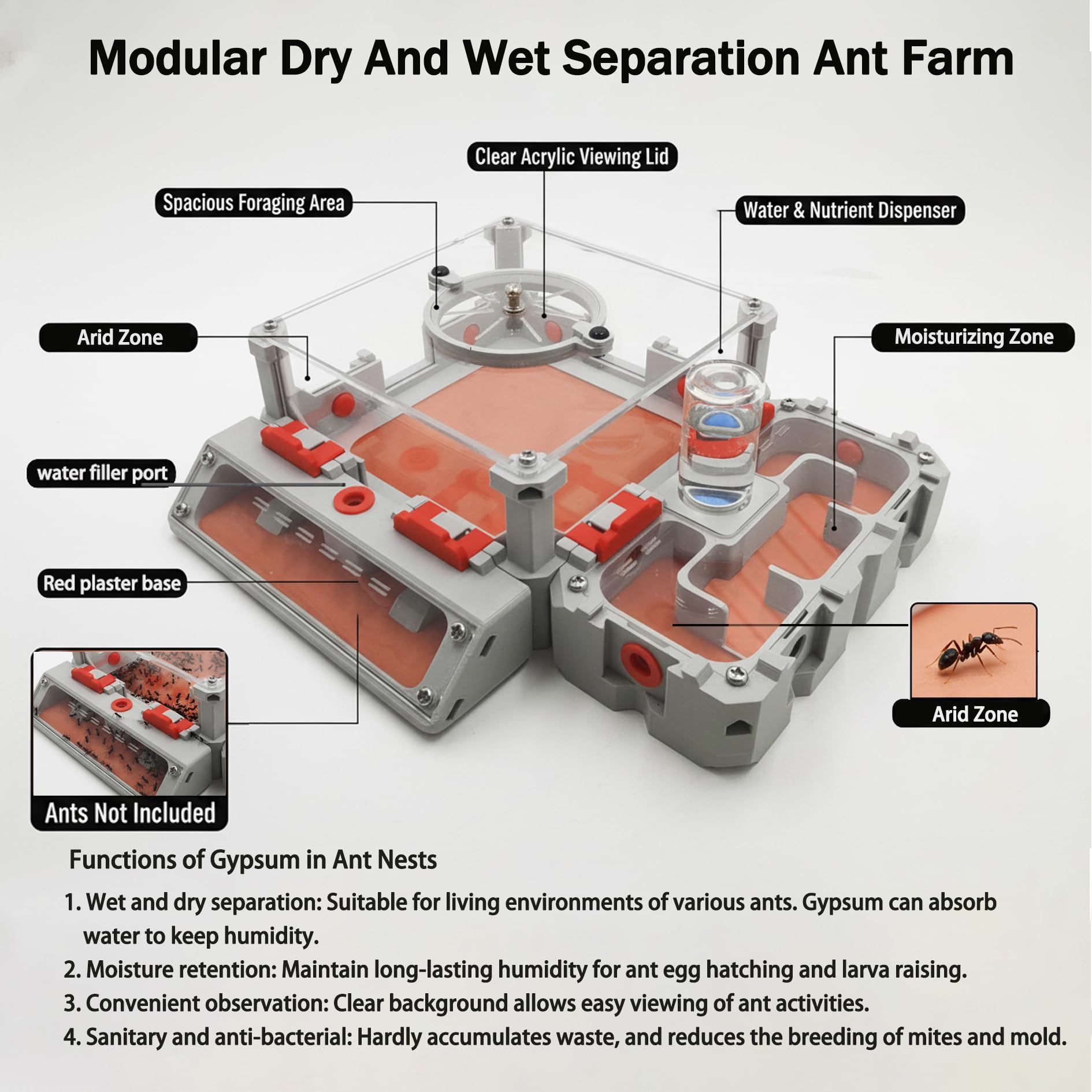 Antsir Ant Farm Nest Kit,DIY Science Terrarium with Acrylic Water Tower, Nurturing Room & Large Observation Area for Live Ants (Formicarium Grey)