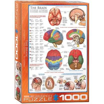 EuroGraphics, The Brain, 1000 Piece Puzzle