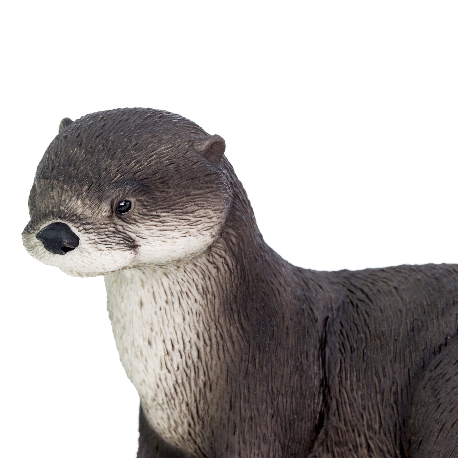 Safari Ltd. River Otter Figurine - Lifelike 5.5" Animal Figure - Educational Toy for Boys, Girls, and Kids Ages 3+