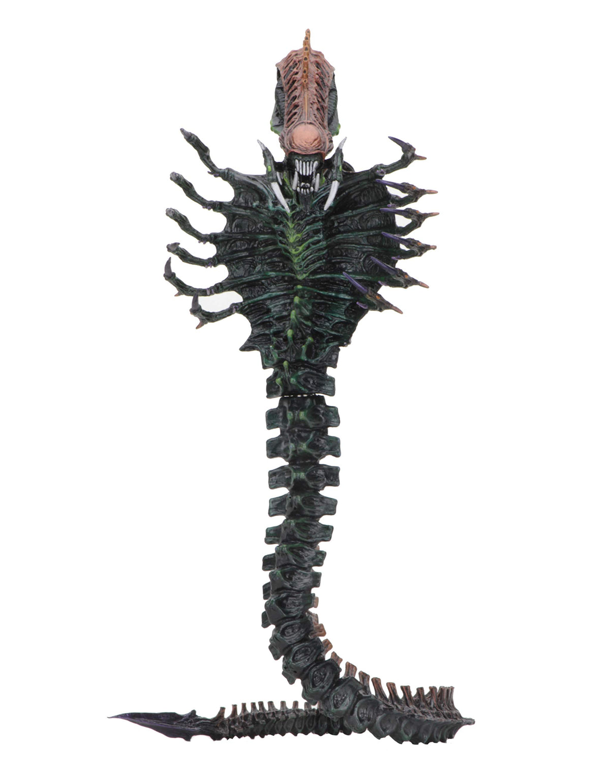 NECA - Aliens - 7" Scale Action Figure - Series 13 Snake