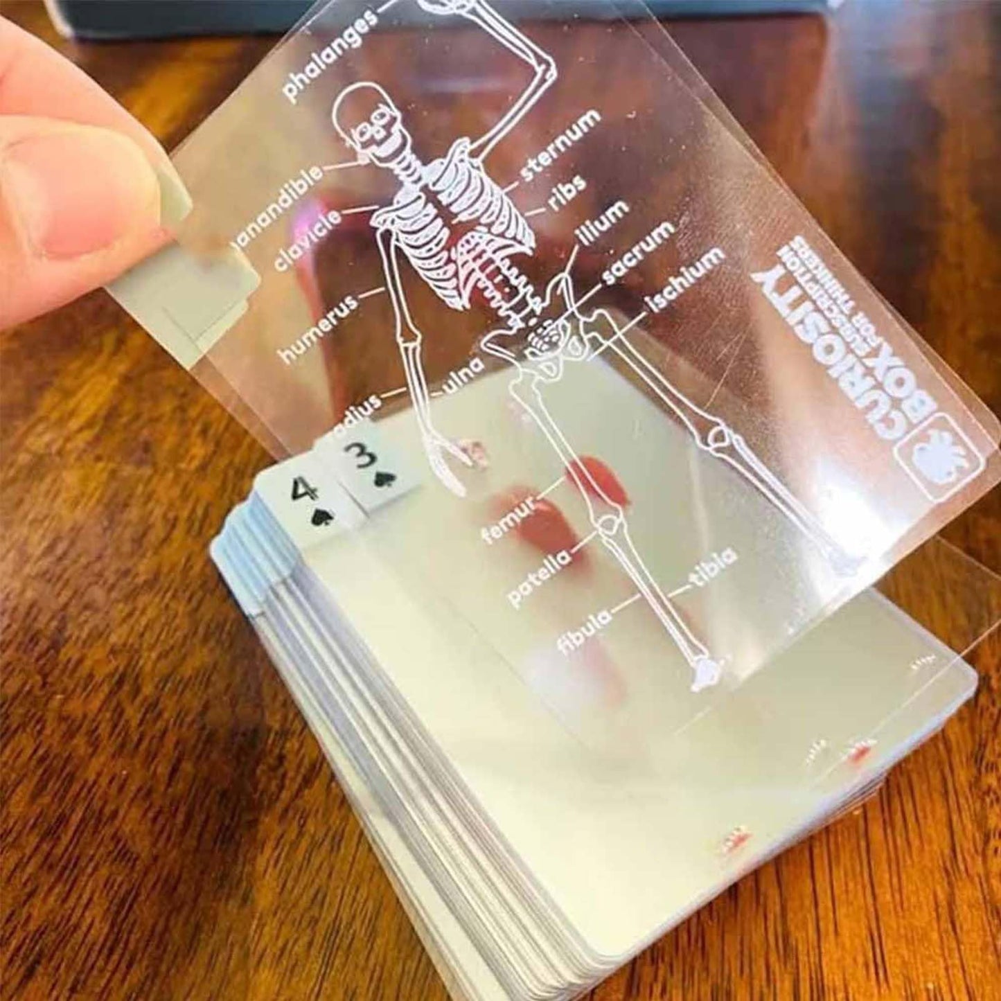 Dexprosy Human Anatomy Playing Cards - Body Deck with 3D Images, Waterproof Transparent Card Deck for Doctors, Nurses, Medical Students & Educators