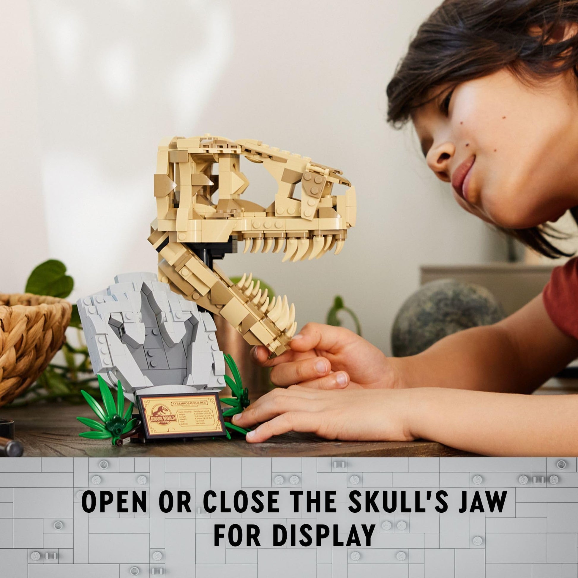 LEGO Jurassic World Dinosaur Fossils: T Rex Skull Building Toy - Dinosaur Toy for Boys & Girls, Ages 9+ Years - Gift for Christmas - Display