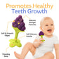 Baby Teething Toys, Soft Silicone Fruit Teether Set with Pacifier Clip/Holder for Toddlers & Infants, 5 Pack
