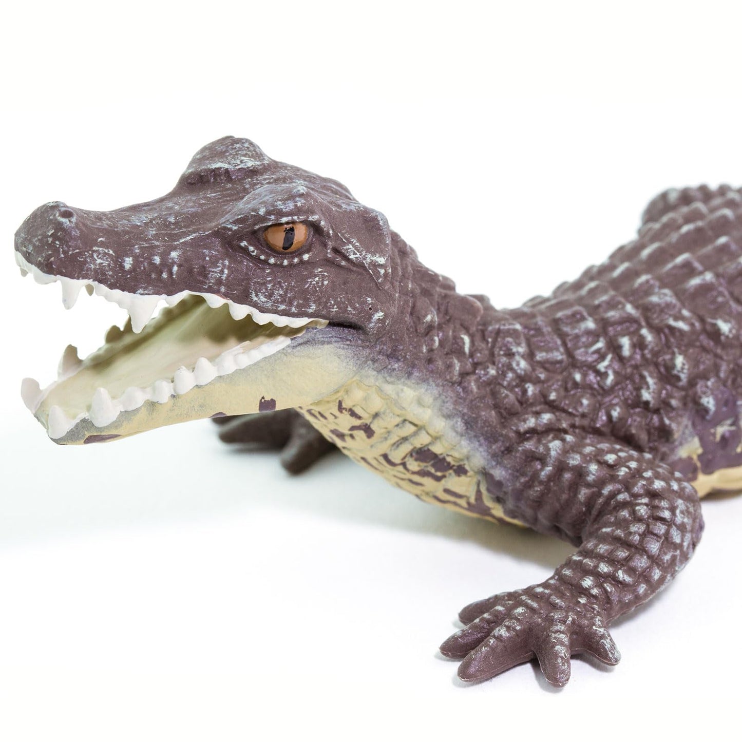 Safari Ltd. Caiman Figurine - Realistic 5" Reptile Figure - Educational Toy for Boys, Girls, and Kids Ages 3+