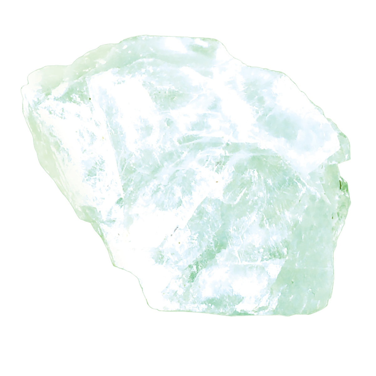 Educational Insights Mineral collections, Ages 8 and Up, (12 Handpicked Specimens in Storage Tray)
