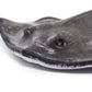 Safari Ltd. Common Stingray Figurine - Lifelike 7" Model Figure - Educational Toy for Boys, Girls, and Kids Ages 3+