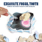 RRIBOUDWAN Shark Tooth Dig Kit, Shark Tooth Excavation Fossil, Shark Science Toy Gift for Kids Age 5+ for Holiday Birthday
