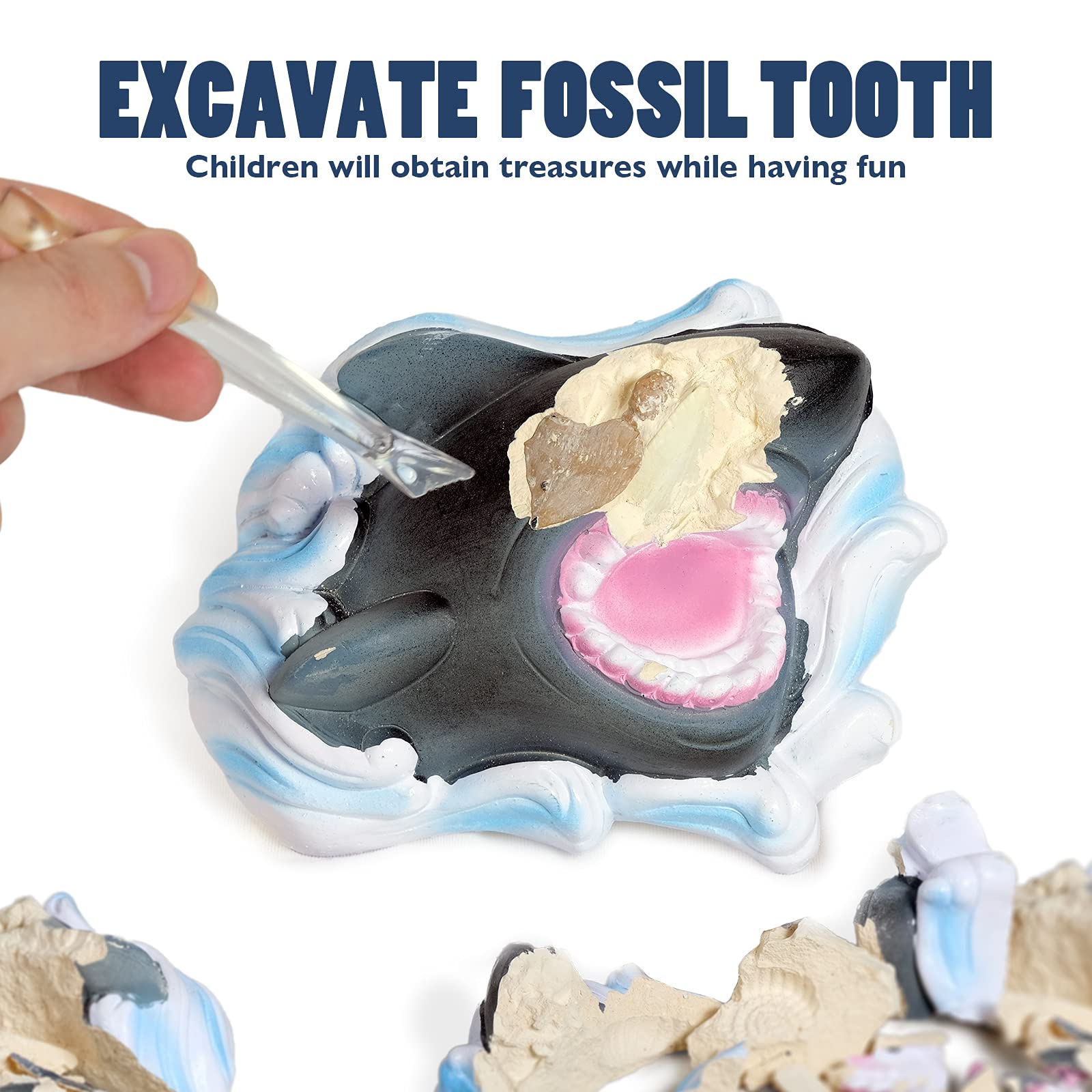 RRIBOUDWAN Shark Tooth Dig Kit, Shark Tooth Excavation Fossil, Shark Science Toy Gift for Kids Age 5+ for Holiday Birthday
