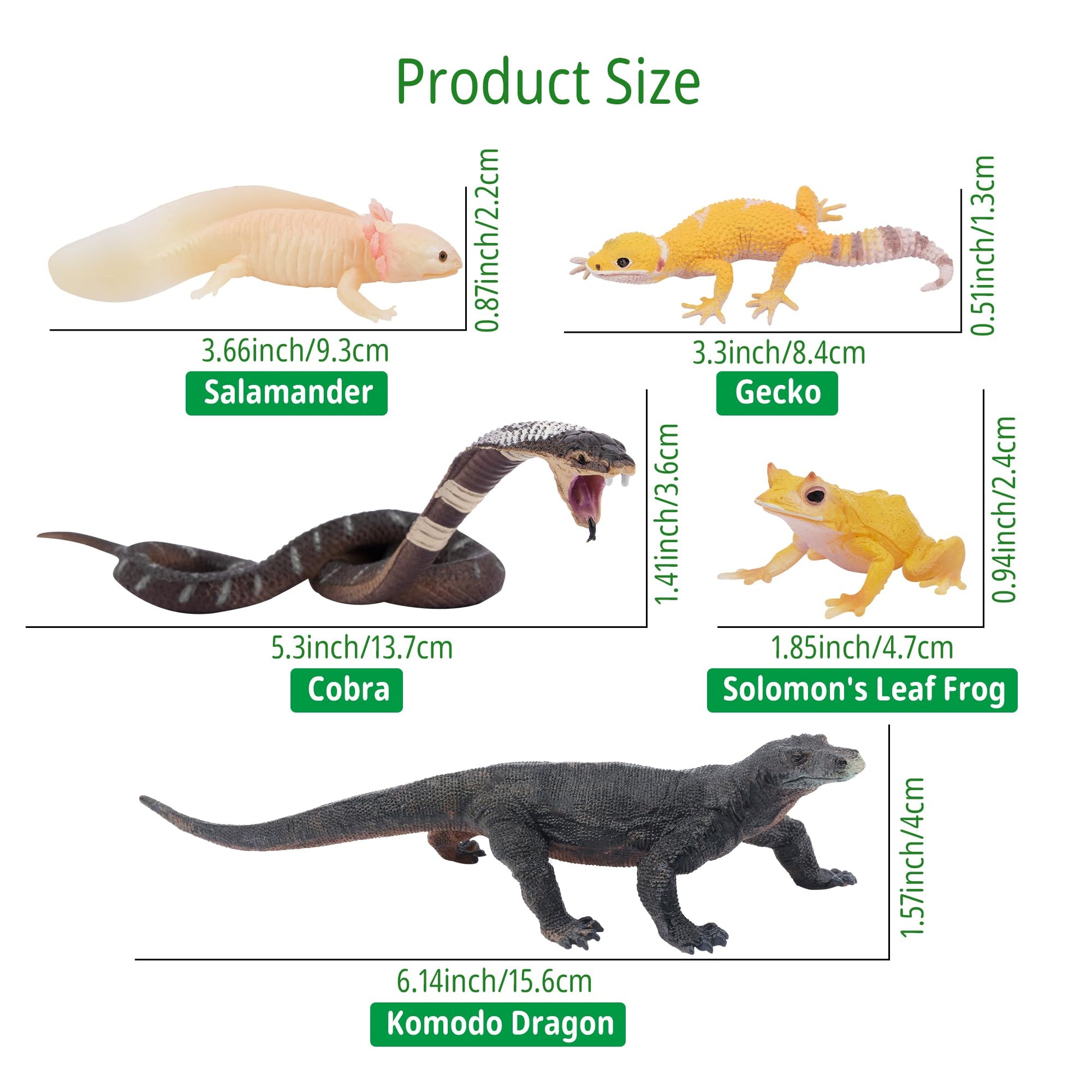 Toymany Reptile Animal Figurine Toys Set, 12 PCS Halloween Desert Amphibians Animal Figures with Komodo Dragon Lizard Snake Chameleon Rainforest Cold