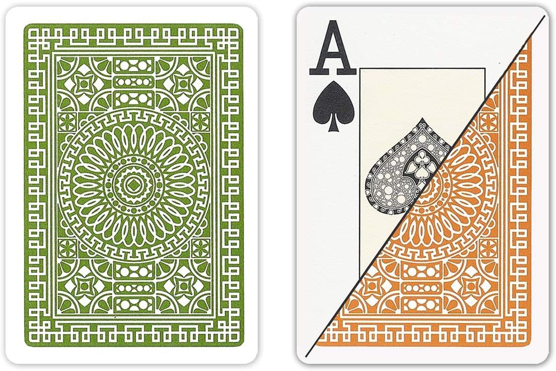 DA VINCI Palermo, Italian 100% Plastic Playing Cards, 2 Deck Set with Hard Shell Case and 2 Cut Cards (Poker Size Jumbo Index)