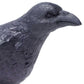 Safari Ltd. Raven Figurine - Realistic 3" Bird Figure - Educational Toy for Boys, Girls, and Kids Ages 3+