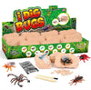 TRADE Big Bug Fossil Dig Kit - STEM Science & Educational Toys -Dig Up 12 Real Bugs Fly Ant Scorpion Lady Beetle Locust Cockroach Bumble Bee Cicada