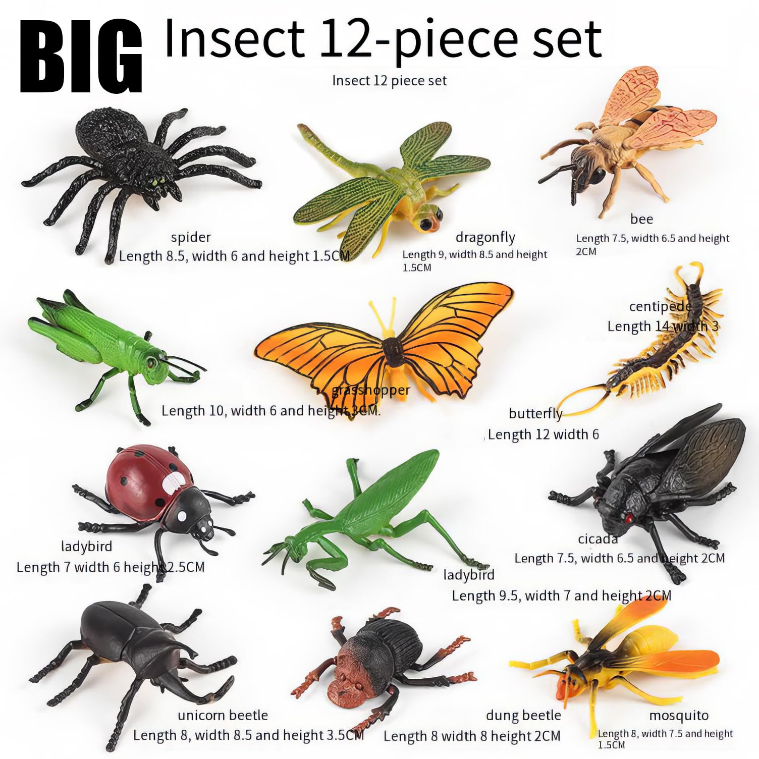34 pcs Plastic Insects Lifelike Assorted Figures Realistic Insect Animal Model, Perfect Model for Recognizing Nature (34 Pcs Bugs)